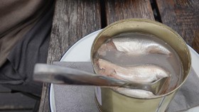 Surstromming, Kuliner Ikan Super Bau dari Swedia