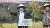 Ingin Jadikan Sumsel Lumbung Pangan Nasional, Ini Upaya Gubernur HD