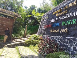 Gunung Gede Pangrango Buka Gerbang Pendakian Lagi 12 Desember