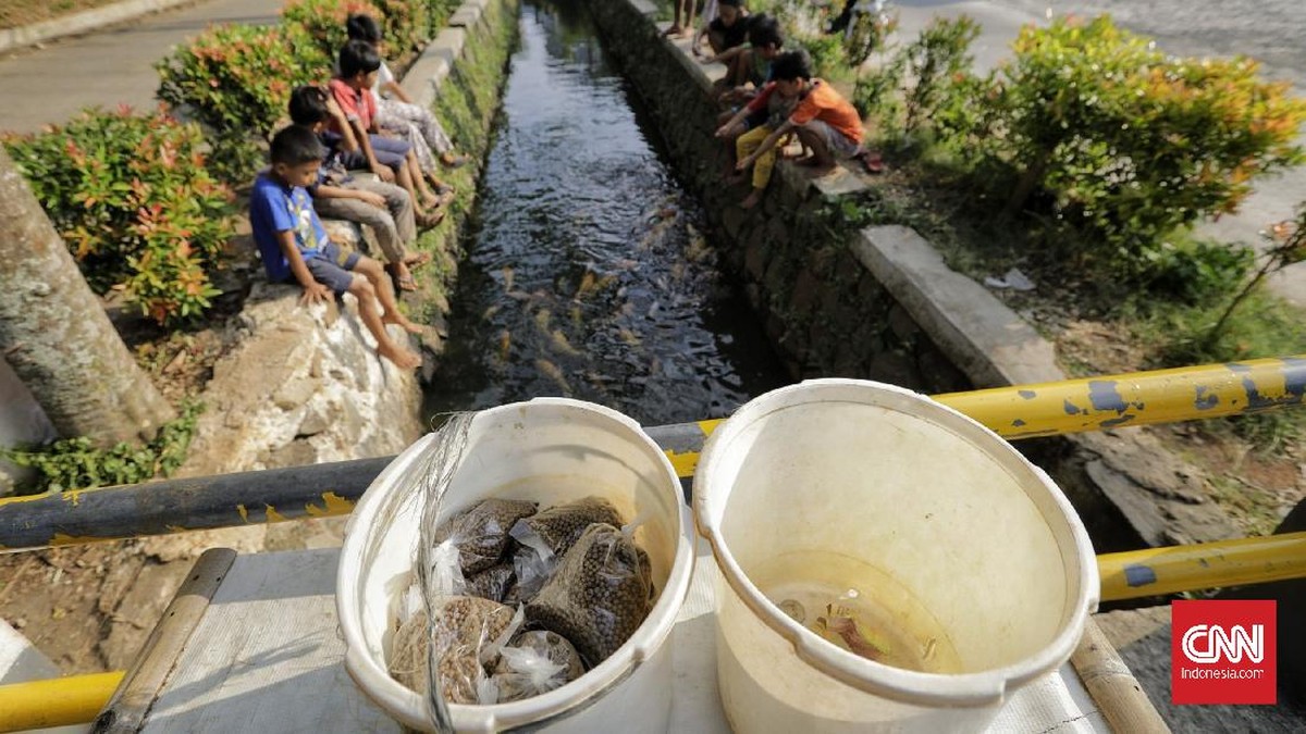 FOTO: Selokan Disulap Warga Pamulang Jadi Kolam Ikan Hias