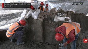 VIDEO: Penemuan 8.000 Potongan Tulang Mamut