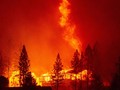 VIDEO: Kebakaran California Kembali Cetak Rekor Suhu Terpanas