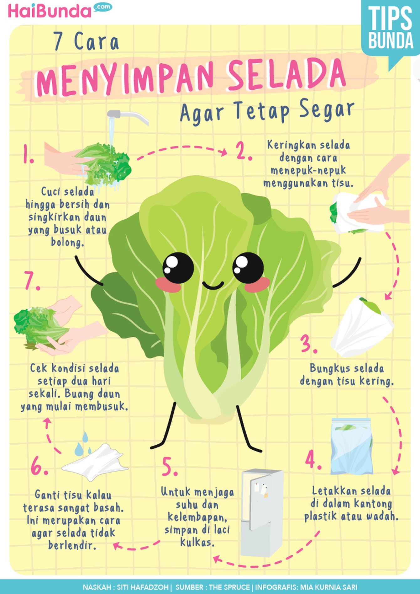 Infografis selada