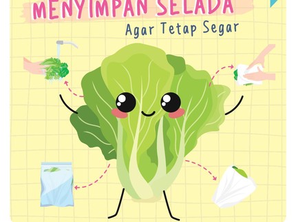 7 Cara Menyimpan Selada Agar Tetap Segar