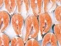 Studi Temukan Virus Corona Bisa Bertahan pada Salmon Beku