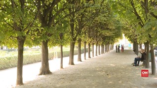 VIDEO: Mendengar Nyanyian Pepohonan di Taman Paris