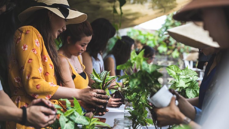 Group of people learning ornamental gardening with Kokedama Japanese technique