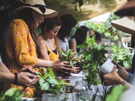 Terpopuler: Tanaman Hias Kokedama, 5 Drama Korea Bertabur Aktor Tampan