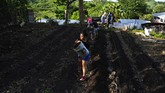 FOTO: Siasat Berkebun Anak-anak El Salvador Cegah Kelaparan Anak-anak di Desa El Paisnal dan El Chaparral, El Salvador, berkebun untuk mencegah kelaparan akibat dampak krisis Covid-19.