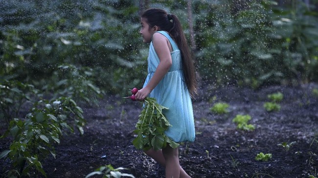 FOTO: Siasat Berkebun Anak-anak El Salvador Cegah Kelaparan