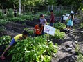 FOTO: Siasat Berkebun Anak-anak El Salvador Cegah Kelaparan