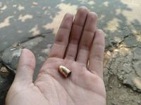  TNI AU Pastikan Tak Ada Masalah dengan Warga Terkait Peluru Rekoset Nyasar 