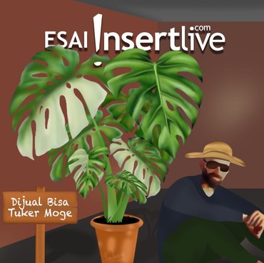 Ketulah usai Ngeledek Ibu Elus-elus Tanaman Hias