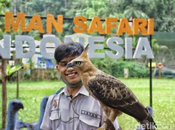 Taman Safari Indonesia Minta Tak Dikaitkan dengan Heboh Sirkus OCI