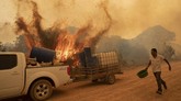 FOTO: Satwa Liar Korban Kebakaran Taman Nasional di Brazil Taman nasional Encontro das Aguas dekat Pocone yang menjadi rumah bagi ribuan spesies tumbuhan dan hewan, termasuk 159 mamalia dan jaguar di Brasil terbakar.