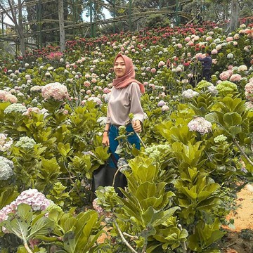 img-title Buka Lagi, 5 Tempat Wisata di Malang Ini Cocok Untuk Habiskan Malam Minggu
