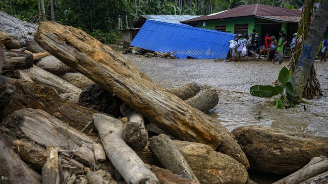 Korban tewas dalam banjir bandang di Flores Timur terus bertambah sehingga menjadi 23 orang. Tim SAR masih kesulitan mengakses lokasi bencana.