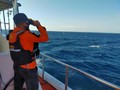 Kapal Pengangkut Semen Terbakar di Perairan Buton, Satu Tewas
