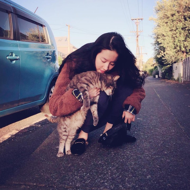 <p>Dalam kesehariannya, ternyata Li Yufei juga penyayang kucing lho, Bunda. Keren banget ya. (Foto: Instagram @yifei_cc)</p>