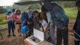 FOTO: Suku Pedalaman Peru dan Pengobatan Leluhur Lawan Corona Penduduk di pedalaman hutan Amazon di Ucayali, Peru, menggunakan pengobatan tradisional warisan leluhur untuk menghadapi infeksi virus corona