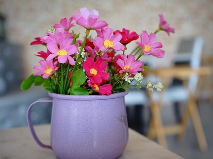 Terpopuler: Tanaman Hias Indoor, Reaksi Audi Marissa soal Isu Pindah Agama