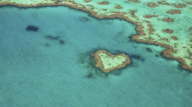 Lebih dari satu dekade ditutup untuk umum, kini gugusan terumbu karang Heart Reef yang berada di wilayah Great Barrier Reef bisa kembali dikunjungi.