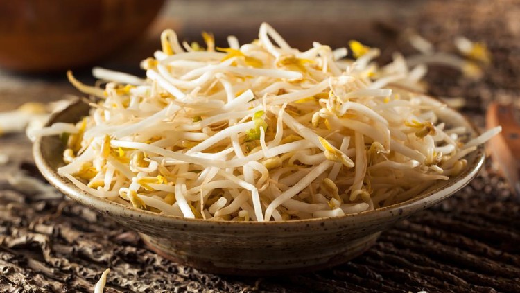 Raw Healthy White Bean Sprouts Ready for Cooking