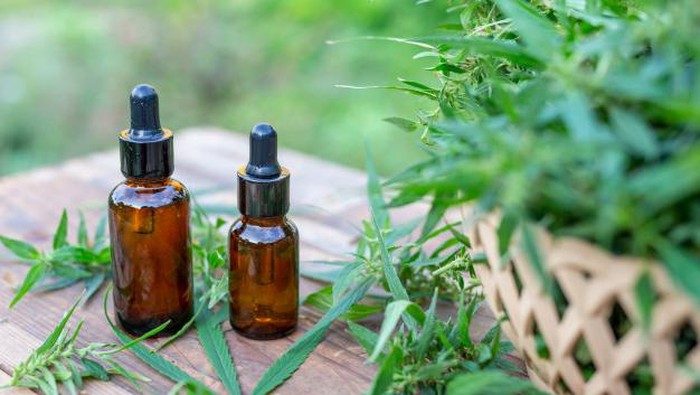 Hemp Oil, Minyak Ganja yang Punya Manfaat untuk Kecantikan!