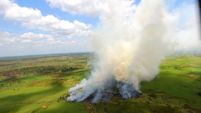 LSM mendesak pemerintah tetap melindungi hutan dari kebakaran karena lahan yang tersisa 9,4 juta hektare walaupun ada pandemi corona.