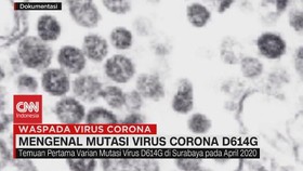 VIDEO: Mengenal Mutasi Virus Corona D614G
