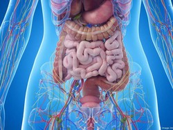 Transplantasi Tinja untuk Sembuhkan Penyakit