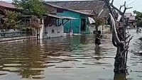  Banjir Rob Terjadi di Medan Belawan, Warga Harap Dibangun Tanggul 