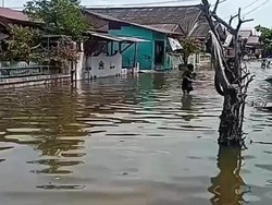 Banjir Rob Terjadi di Medan Belawan, Warga Harap Dibangun Tanggul