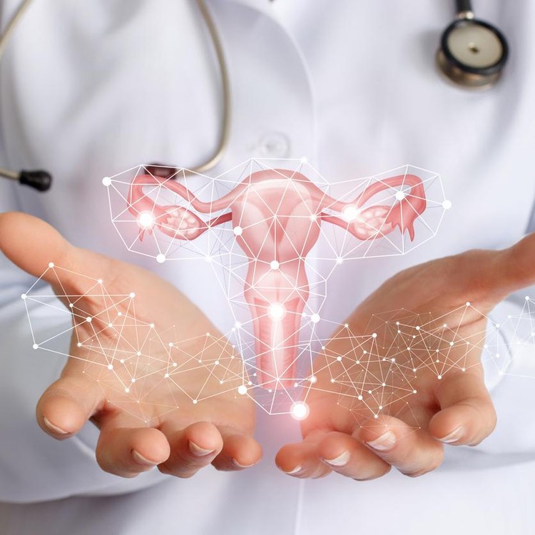 Ilustrasi kesehatan reproduksi Worker of medicine shows the uterus of the female.