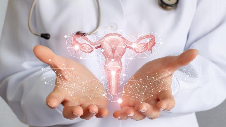 Ilustrasi kesehatan reproduksi Worker of medicine shows the uterus of the female.