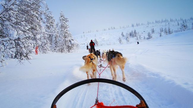 Finlandia, yang berpromosi sebagai kampung halaman Sinterklas, sedang khawatir kehilangan turis pada musim dingin ini akibat pandemi virus corona.