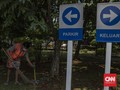 Warga Tangsel Langgar Protokol Covid-19 Dihukum Panjat Pohon