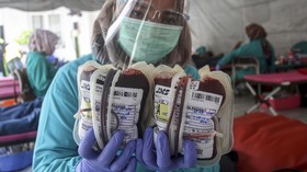 Mencari Setetes Darah di Tengah Kepungan Covid-19