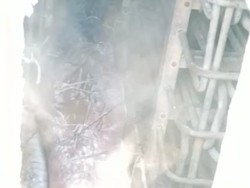 Tewasnya 5 ABK di Freezer Kapal Karena Miras Oplosan
