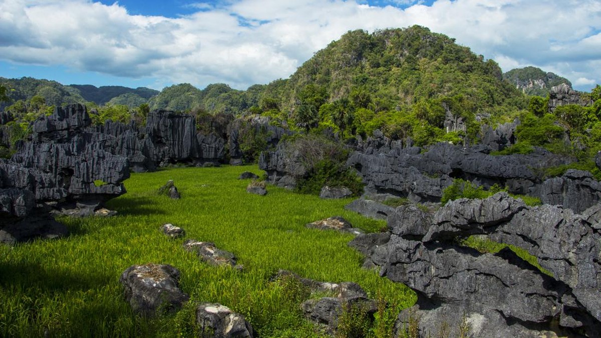 FOTO: Geopark Maros Pangkep Resmi Masuk UNESCO Global Geopark