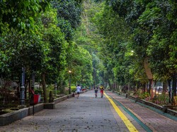 8 Taman Menarik di Kebun Raya Bogor buat Isi Liburan Sekolah hingga Lebaran