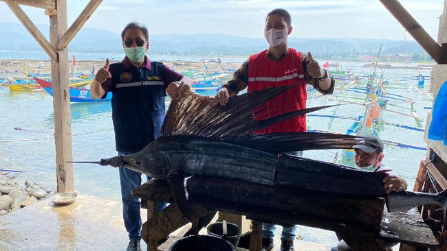 BPH Migas menginstruksikan PT Pertamina untuk segera membangun SPBN di kawasan Pelabuhan Krui, Kabupaten Pesisir Barat, Lampung.
