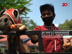Melihat Pemeliharaan Kuda Poni di TSTJ Solo