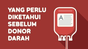INFOGRAFIS: Yang Perlu Diketahui Sebelum Donor Darah
