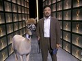 5 Momen Kocak Emmy Awards Kala Pandemi