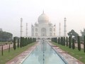 VIDEO: Antrean Taj Mahal Dikhawatirkan Jadi Klaster Corona