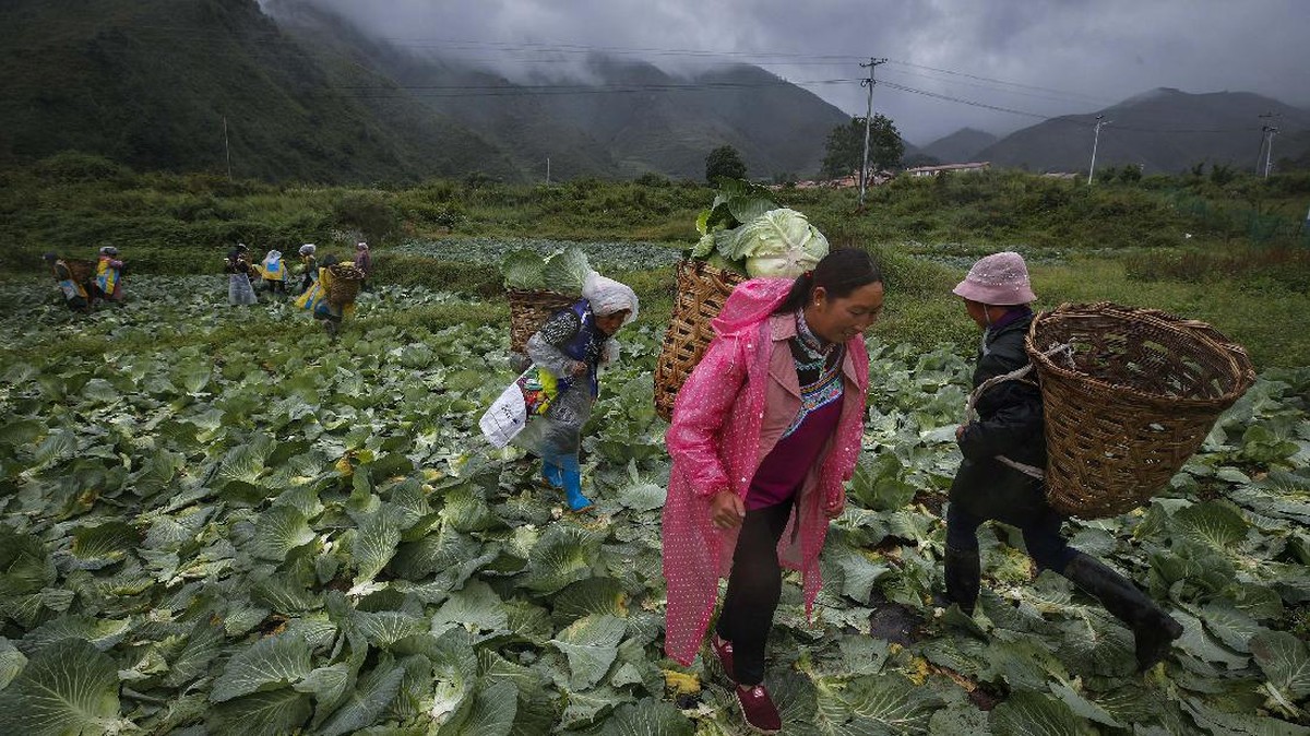 FOTO: Program Anti-Miskin, Cara China Gusur Etnis Minoritas