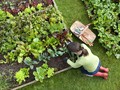 Earth Day, Lakukan 7 Cara Sederhana untuk Selamatkan Bumi