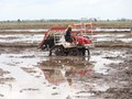 Komisi IV DPR RI Dukung Program Perbengkelan Alsintan