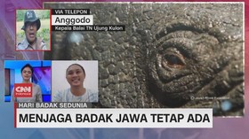 VIDEO: Menjaga Badak Jawa Tetap Ada